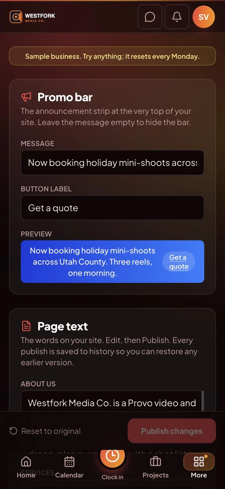 Website editor in the Owner Hub app: the promo bar and page text, with a preview